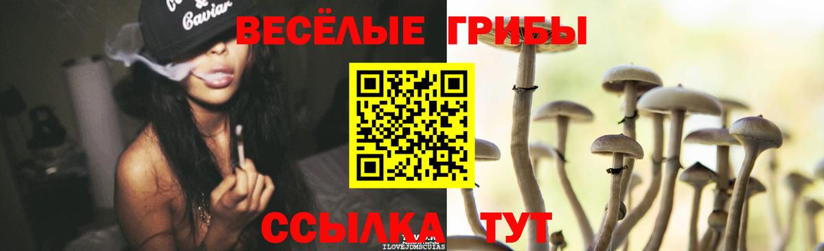 Нарткала  Галлюциногенные грибы GOLDEN TEACHER  Вход с VPN  Галлюциногенные грибы мицелий 